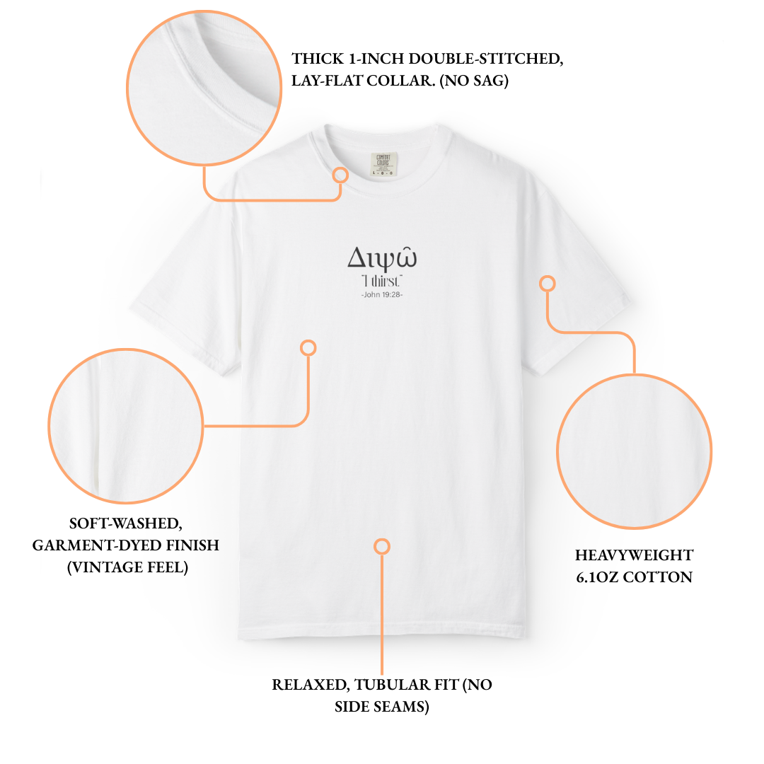 DIPSO — The Word of Humanity Heavyweight Tee